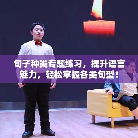 句子種類專題練習(xí)，提升語(yǔ)言魅力，輕松掌握各類句型！