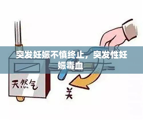 突發(fā)妊娠不慎終止，突發(fā)性妊娠毒血 