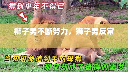 獅子男不斷努力，獅子男反常 