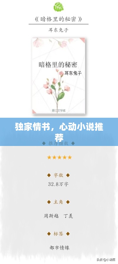 獨(dú)家情書，心動(dòng)小說(shuō)推薦