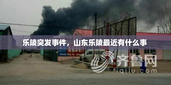 樂陵突發(fā)事件，山東樂陵最近有什么事 
