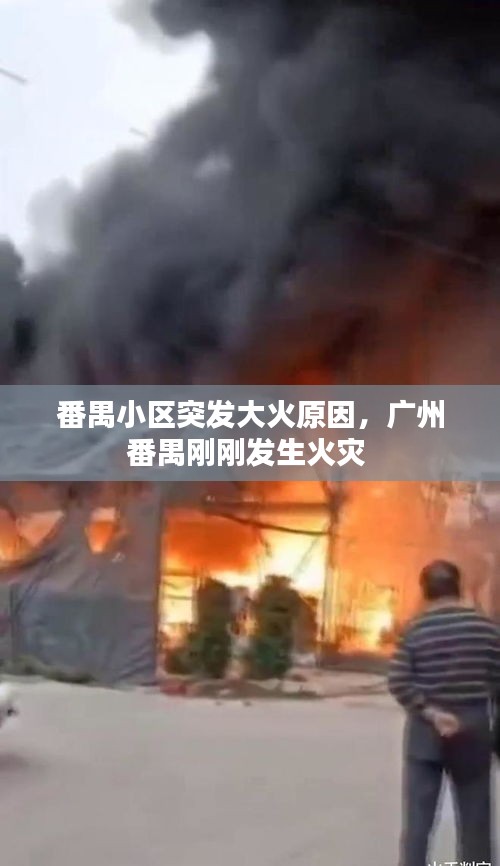 番禺小區(qū)突發(fā)大火原因，廣州番禺剛剛發(fā)生火災(zāi) 