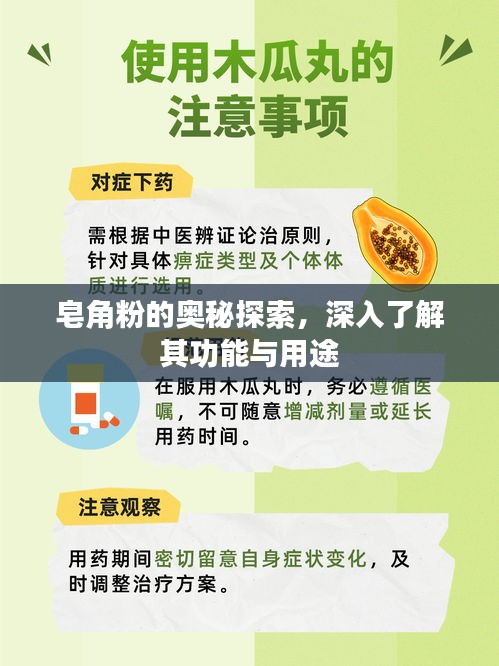 皂角粉的奧秘探索，深入了解其功能與用途