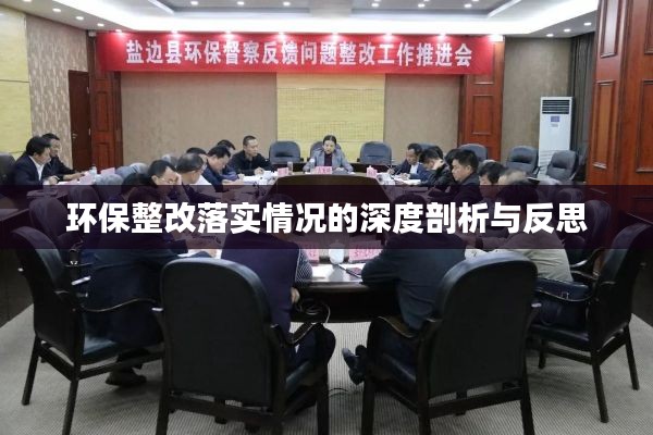環(huán)保整改落實(shí)情況的深度剖析與反思