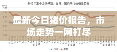 最新今日豬價(jià)報(bào)告，市場(chǎng)走勢(shì)一網(wǎng)打盡