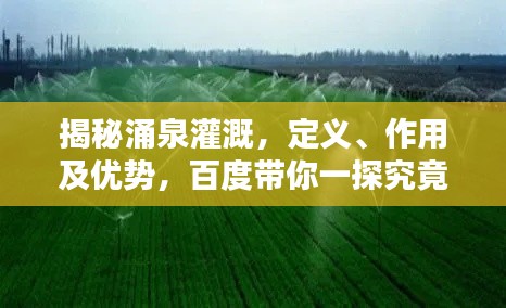 揭秘涌泉灌溉，定義、作用及優(yōu)勢(shì)，百度帶你一探究竟！