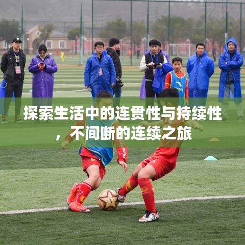 探索生活中的連貫性與持續(xù)性，不間斷的連續(xù)之旅