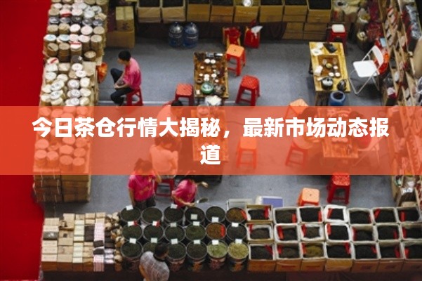 今日茶倉行情大揭秘，最新市場動態(tài)報道