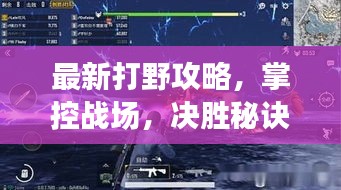 最新打野攻略，掌控戰(zhàn)場(chǎng)，決勝秘訣大揭秘！