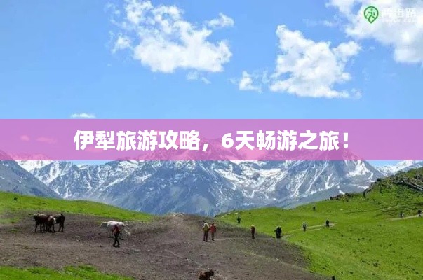 伊犁旅游攻略，6天暢游之旅！