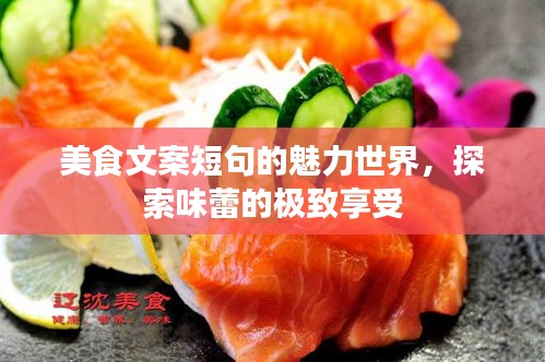 美食文案短句的魅力世界，探索味蕾的極致享受