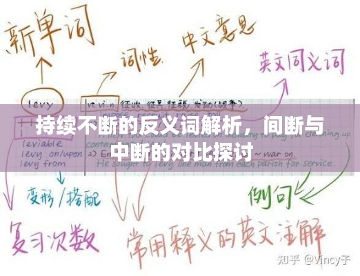 持續(xù)不斷的反義詞解析，間斷與中斷的對(duì)比探討