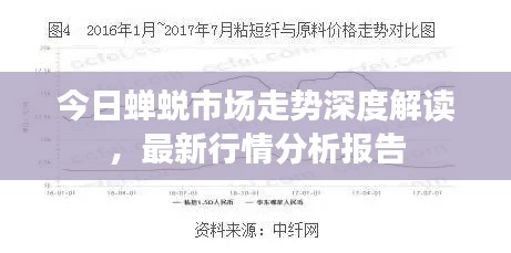 今日蟬蛻市場走勢深度解讀，最新行情分析報告