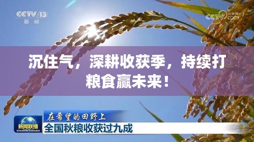 沉住氣，深耕收獲季，持續(xù)打糧食贏未來！