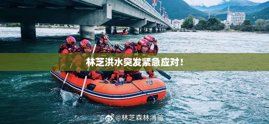 林芝洪水突發(fā)緊急應(yīng)對(duì)！