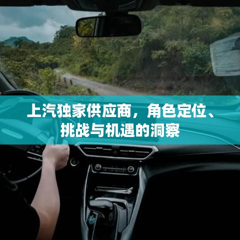上汽獨(dú)家供應(yīng)商，角色定位、挑戰(zhàn)與機(jī)遇的洞察