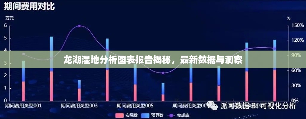 龍湖濕地分析圖表報(bào)告揭秘，最新數(shù)據(jù)與洞察