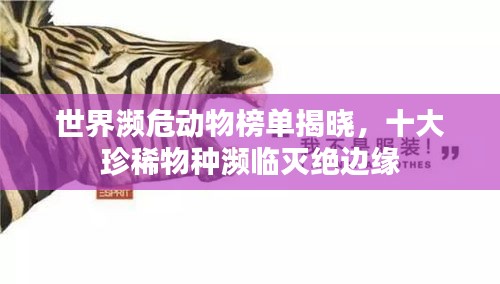 世界瀕危動物榜單揭曉，十大珍稀物種瀕臨滅絕邊緣