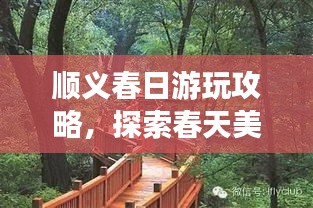 順義春日游玩攻略，探索春天美景，盡享愜意時光！