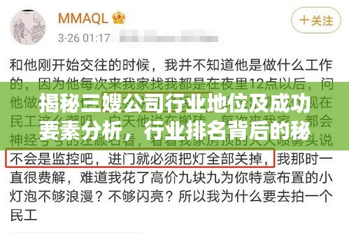 揭秘三嫂公司行業(yè)地位及成功要素分析，行業(yè)排名背后的秘密！