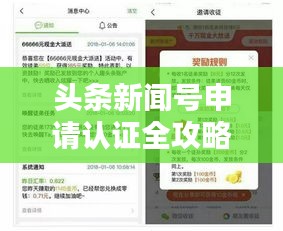 頭條新聞號申請認證全攻略，步驟詳解，輕松上手！