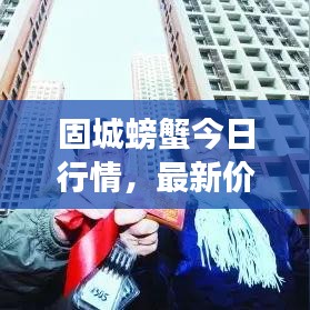 固城螃蟹今日行情，最新價格、市場走勢及影響因素深度解析