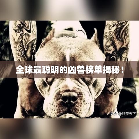 全球最聰明的兇獸榜單揭秘！