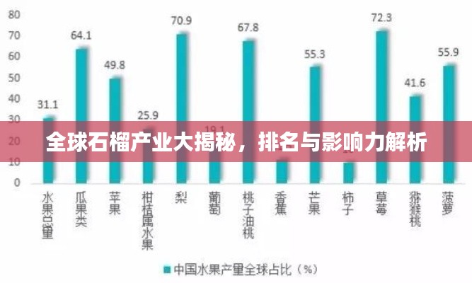 全球石榴產(chǎn)業(yè)大揭秘，排名與影響力解析