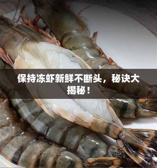 保持凍蝦新鮮不斷頭，秘訣大揭秘！