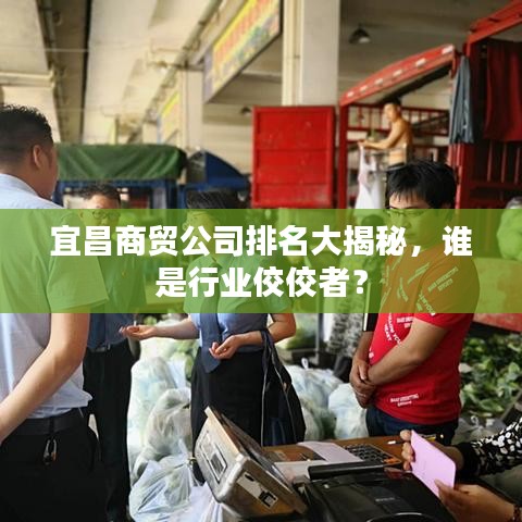 宜昌商貿(mào)公司排名大揭秘，誰是行業(yè)佼佼者？