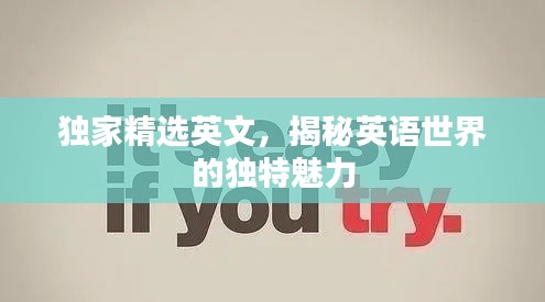 獨家精選英文，揭秘英語世界的獨特魅力