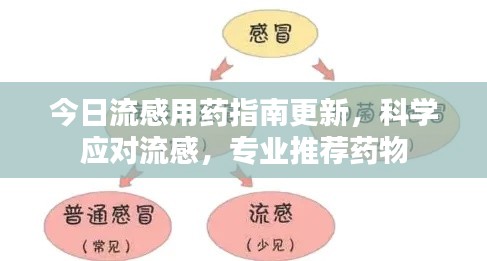 今日流感用藥指南更新，科學應對流感，專業(yè)推薦藥物