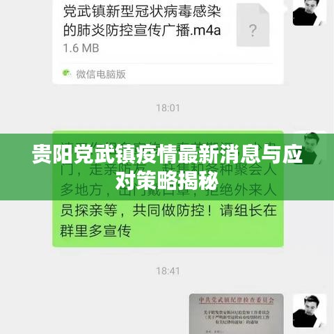 貴陽(yáng)黨武鎮(zhèn)疫情最新消息與應(yīng)對(duì)策略揭秘