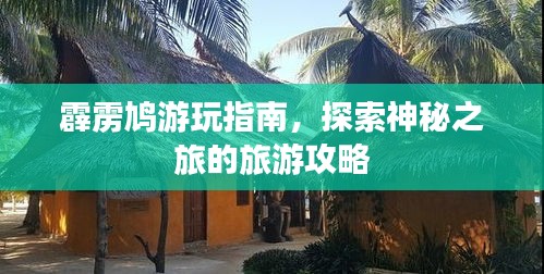 霹靂鳩游玩指南，探索神秘之旅的旅游攻略