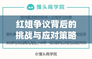 紅姐爭(zhēng)議背后的挑戰(zhàn)與應(yīng)對(duì)策略，公眾人物的必修課