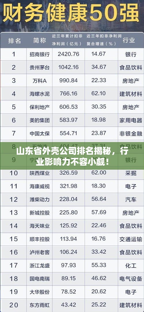 山東省外殼公司排名揭秘，行業(yè)影響力不容小覷！