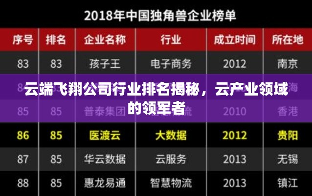 云端飛翔公司行業(yè)排名揭秘，云產(chǎn)業(yè)領(lǐng)域的領(lǐng)軍者
