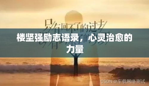 樓堅(jiān)強(qiáng)勵(lì)志語(yǔ)錄，心靈治愈的力量