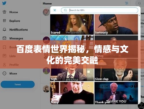 百度表情世界揭秘，情感與文化的完美交融