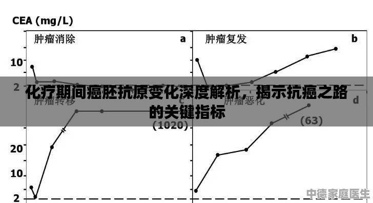 化療期間癌胚抗原變化深度解析，揭示抗癌之路的關(guān)鍵指標(biāo)