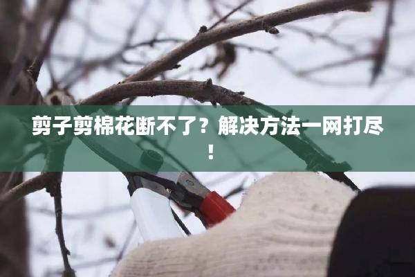 剪子剪棉花斷不了？解決方法一網(wǎng)打盡！
