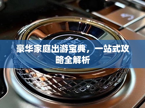 豪華家庭出游寶典，一站式攻略全解析