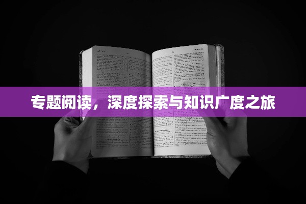 專(zhuān)題閱讀，深度探索與知識(shí)廣度之旅