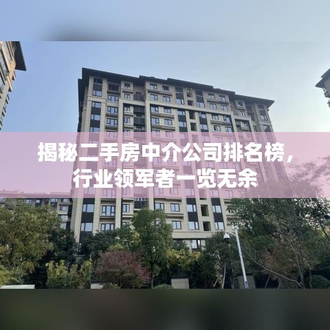 揭秘二手房中介公司排名榜，行業(yè)領(lǐng)軍者一覽無(wú)余
