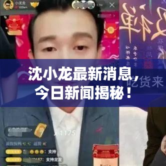 沈小龍最新消息，今日新聞揭秘！