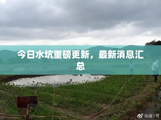 今日水坑重磅更新，最新消息匯總