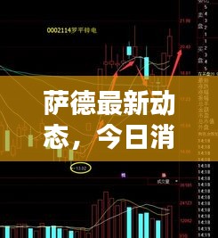 薩德最新動態(tài)，今日消息更新揭秘！