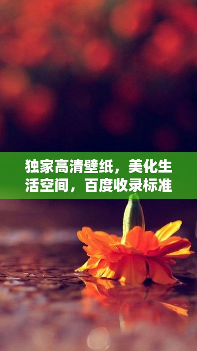 獨(dú)家高清壁紙，美化生活空間，百度收錄標(biāo)準(zhǔn)標(biāo)題！