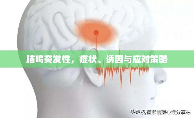 腦鳴突發(fā)性，癥狀、誘因與應(yīng)對策略