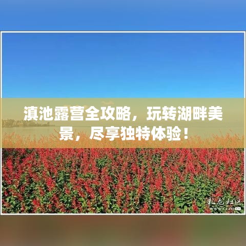 滇池露營全攻略，玩轉(zhuǎn)湖畔美景，盡享獨特體驗！